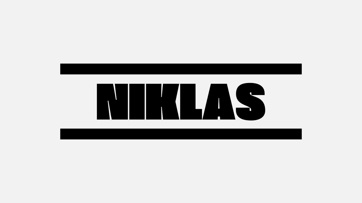 Niklas D. Palladini